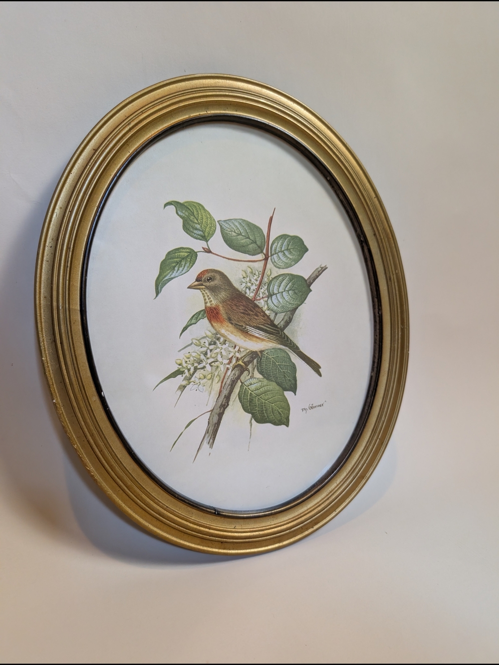 P.H. Gommer Gold Oval Framed Bird Art Print - Botanical Wall Accent